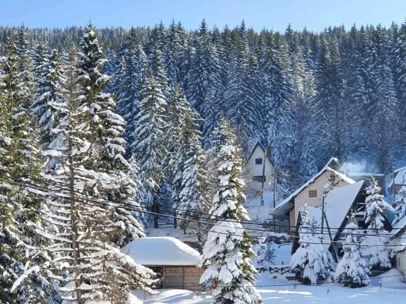 Vila Irina - Apartman Milos Kopaonik Exterior photo