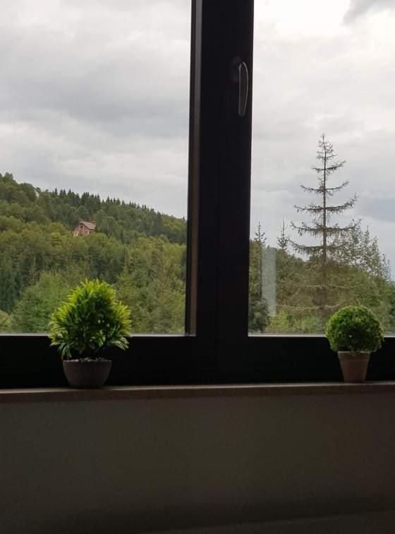 Vila Irina - Apartman Milos Kopaonik Exterior photo
