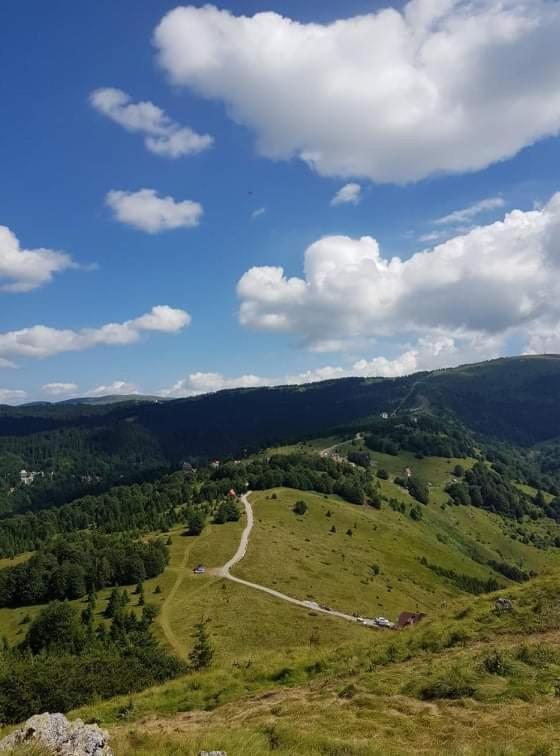 Vila Irina - Apartman Milos Kopaonik Exterior photo