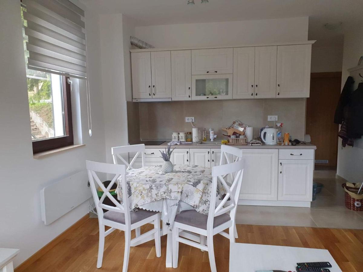 Vila Irina - Apartman Milos Kopaonik Exterior photo